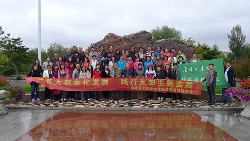 深入学习践行科学发展观，积极开展创先争优活动——记yl7703永利官网党委支部主题实践